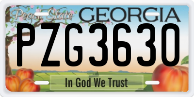 GA license plate PZG3630