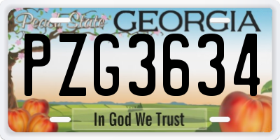 GA license plate PZG3634