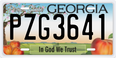 GA license plate PZG3641