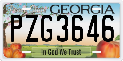 GA license plate PZG3646