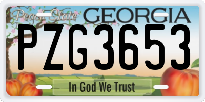 GA license plate PZG3653