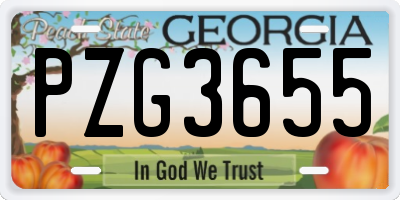 GA license plate PZG3655