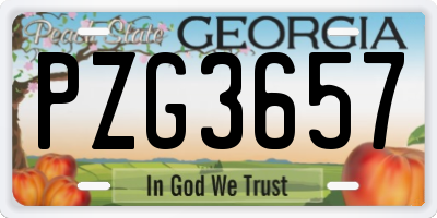 GA license plate PZG3657