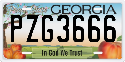 GA license plate PZG3666