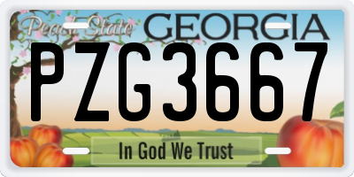 GA license plate PZG3667