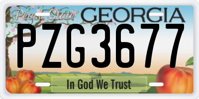 GA license plate PZG3677
