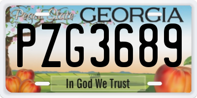 GA license plate PZG3689