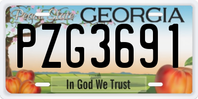 GA license plate PZG3691