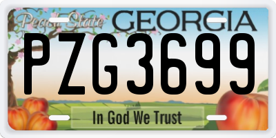 GA license plate PZG3699
