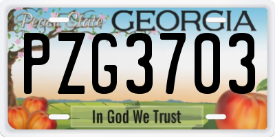 GA license plate PZG3703