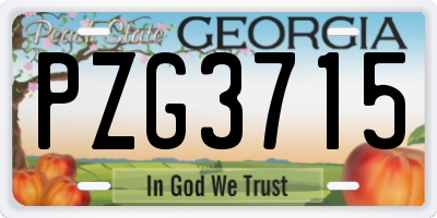 GA license plate PZG3715