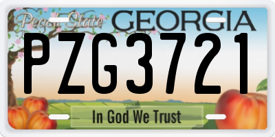 GA license plate PZG3721