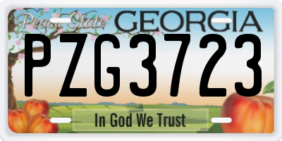 GA license plate PZG3723