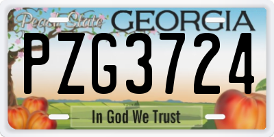 GA license plate PZG3724