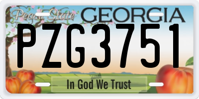 GA license plate PZG3751