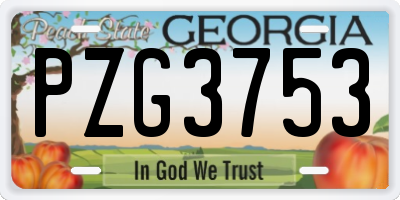 GA license plate PZG3753