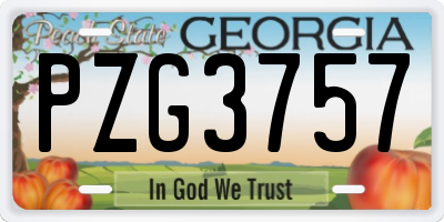 GA license plate PZG3757
