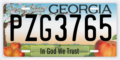GA license plate PZG3765