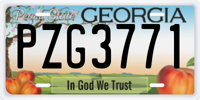GA license plate PZG3771