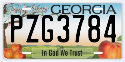 GA license plate PZG3784