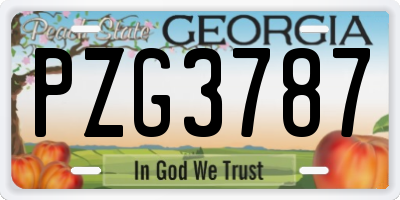 GA license plate PZG3787