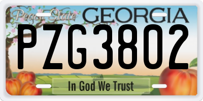 GA license plate PZG3802