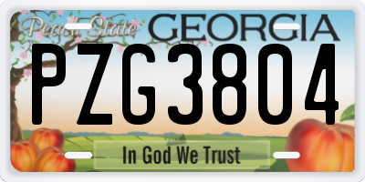GA license plate PZG3804