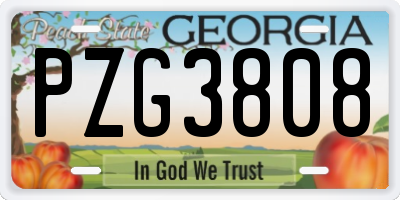 GA license plate PZG3808