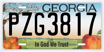 GA license plate PZG3817