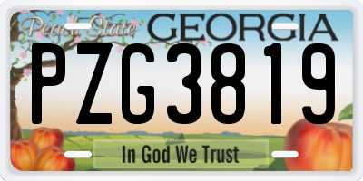 GA license plate PZG3819