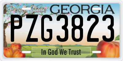 GA license plate PZG3823