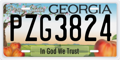 GA license plate PZG3824