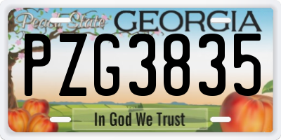GA license plate PZG3835