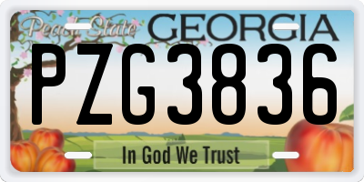 GA license plate PZG3836