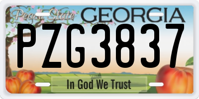 GA license plate PZG3837