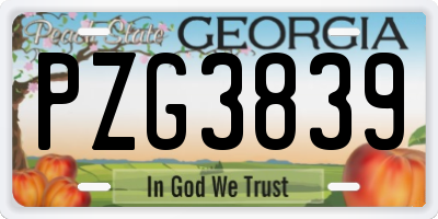 GA license plate PZG3839