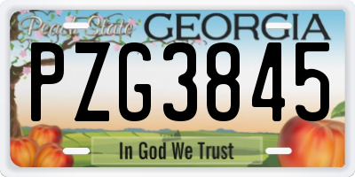 GA license plate PZG3845