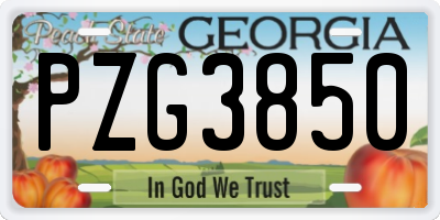 GA license plate PZG3850