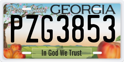 GA license plate PZG3853