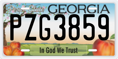 GA license plate PZG3859