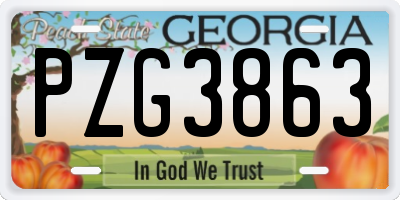 GA license plate PZG3863