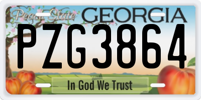 GA license plate PZG3864