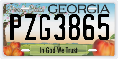 GA license plate PZG3865