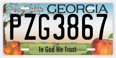 GA license plate PZG3867