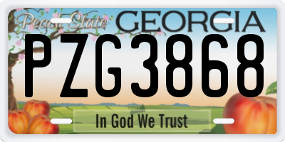 GA license plate PZG3868