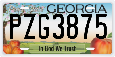 GA license plate PZG3875