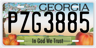GA license plate PZG3885