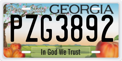 GA license plate PZG3892