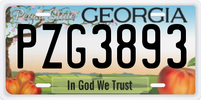 GA license plate PZG3893