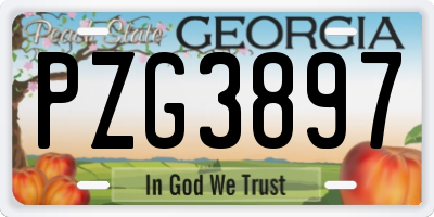 GA license plate PZG3897
